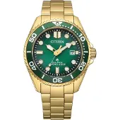 Citizen Eco-Drive Pro Marine BN0262-59W