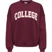 JDY Sweatshirt 'JDYMesa' kräm / rosa / vinröd