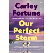 Our Perfect Storm