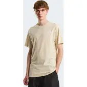 The North Face T-shirt 'Evolution Simple Dome' taupe