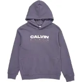 Calvin Klein Logo Hoodie