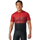 Pearl Izumi Classic Korta ärmar Cykeltröja
