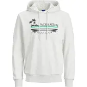 Jack & Jones Sweatshirt 'JORCodyy' ljusblå / grön / svart / vitmelerad
