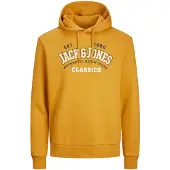 Jack & Jones Sweatshirt marinblå / curry / vit