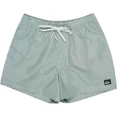 Quiksilver Everyday Deluxe Volley 15 Boardshorts forest Storlek S