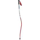 Swix World Cup Pro Dh Carbon Stavar