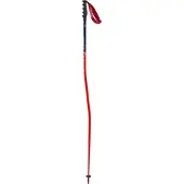 Swix World Cup Pro Super-g Stavar