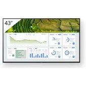 Sony Bravia Professional Displays FW-43BZ30L - 43 Diagonal klass BZ30L Series LED-bakgrundsbelyst LCD-skärm - digital skyltning - Android TV - 4K UHD (2160p) 3840 x 2160 - HDR - Direct LED