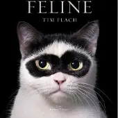 Feline