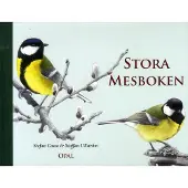 Stora Mesboken