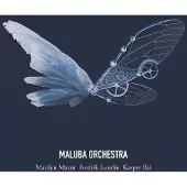 Ginza.se Maluba Orchestra: Maluba Orchestra