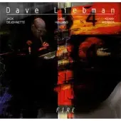 Ginza.se Liebman Dave: Fire