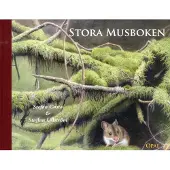 Stora musboken