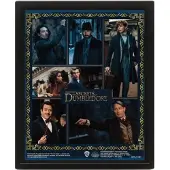 Ginza.se Fantastic Beasts: the Secrets of Dumbledore (Characters) - Framed