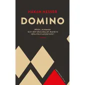 Domino : Dåren, domaren och den välkammade mannen från pirayaministeriet
