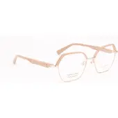 Ana Hickmann Optical Frame HI1245 D01 55