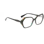 Ana Hickmann Optical Frame HI6316 H01 53