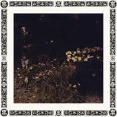 Konkurrent Davachi Sarah: Pale Bloom