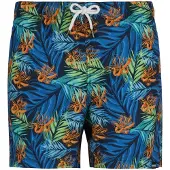 Regatta Loras Simshorts
