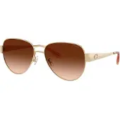 Coach Solglasögon 'CDP37' umbra / guld