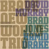 Import Murray David / Brad Jones / Hamid D: Seriana ...