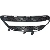 BLIC Ventilationsgaller, stötfångare 6502-07-3500914P