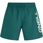 O'Neill Logo 16'' Boardshorts botanical heat Storlek XL