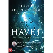 Ett Dockspel