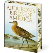 Audubon's Birds Of America