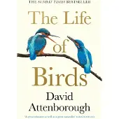 The Life of Birds