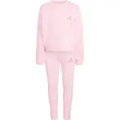 Adidas Träningsdräkt rosé / puder / gammalrosa