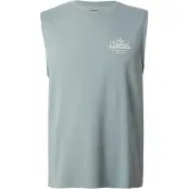 Levi's T-shirt basalgrå / vit