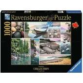 Ravensburger Canadian Collection: West Coast Tranquility 1000-bitars pussel fr vuxna - 17469 - Varje bit r unik Softclick-teknik gr att bitar