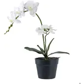 Ebuy24 Orkidé träkonst höjd 49cm grön, vit.