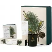 Pure Living Douglas Pine - Gift Set (Votive 20hrs)