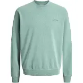 Jack & Jones Sweatshirt 'JJEArchive' turkos