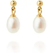 Mockberg Aura Pearl förgyllda örhängen MB2076