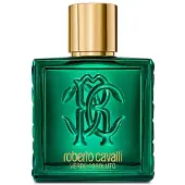Roberto Cavalli Uomo Verde Assoluto Eau de Parfum 100 ml (för män)