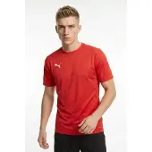 Puma Tränings T-Shirt teamGOAL - Röd/Vit, storlek XX-Large