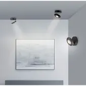 Paul Neuhaus LED taklampa Oculis, dimbar, Svart, Vardagsrum / matsal, Modern, LED-taklampa