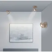 Pure LED taklampa Oculis, dimbar, Brun / mässing, Vardagsrum / matsal, Modern, LED-taklampa