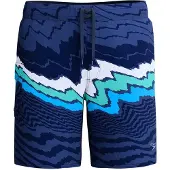 Speedo The Lookout 18´´ Print Simshorts