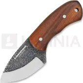 Condor Beetle Neck Knife