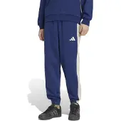 Adidas Seasonal Essentials Colorblock Fleece Joggers