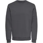 Only & Sons Sweatshirt 'Ceres' mörkgrå