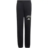Adidas Seasonals Collegiate Typography Joggers