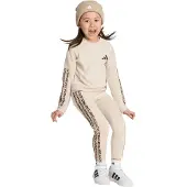 Adidas Träningsdräkt kitt / taupe / svart