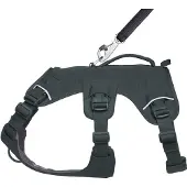 Ruffwear Web Master Fleranvndningsstd Hundsele Vandring och sprlpning Service och arbete Vardagsklder Basaltgr X-Small