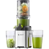 Amzchef Slow Juicer CE-ZM1902M-SV (silver)