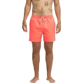 Billabong All Day Simshorts
